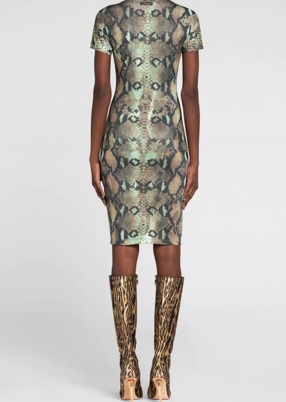 Tubino snake print dress